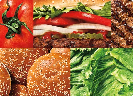 햄버거 원재료(토마토, 패티, 야채) 이미지